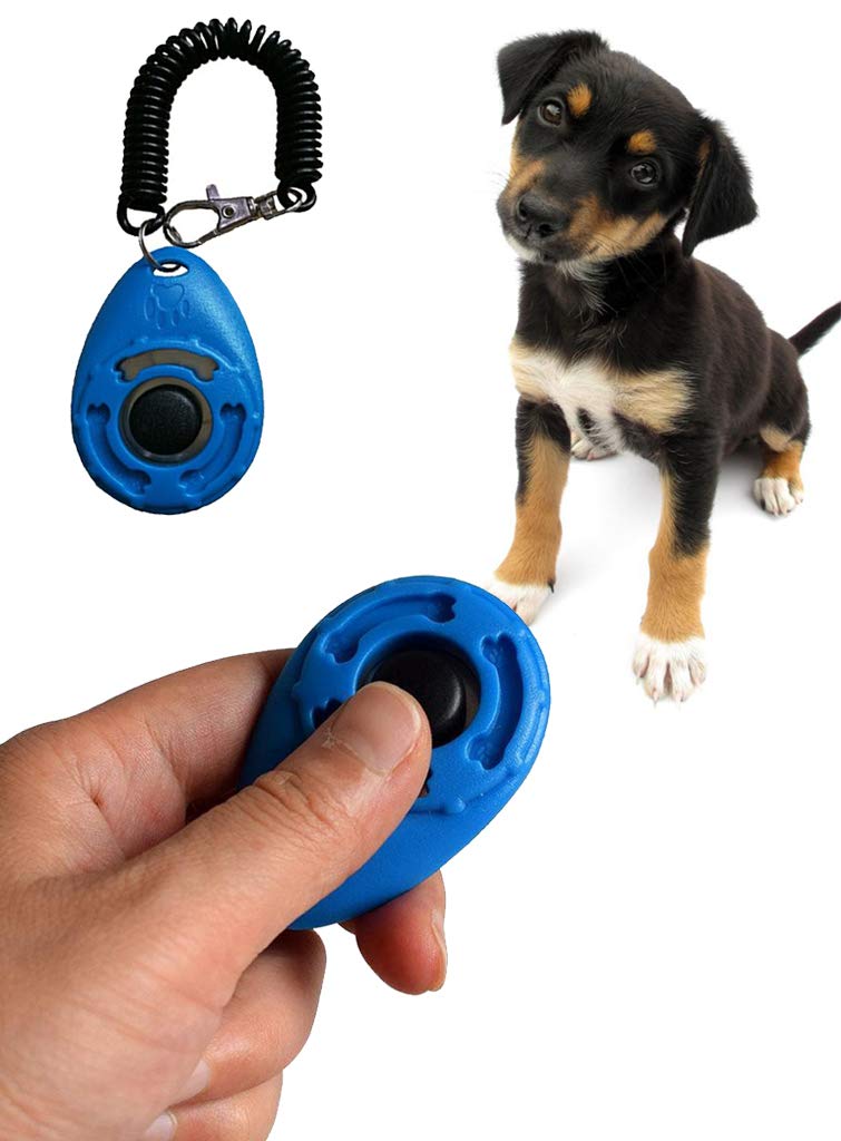 See full amazon price history chart for Sage Square Pet Training Clicker with Wrist Strap and Strap Hook for Dog/Cat/Kitten/Puppy/Bird (Blue) Sage Square Pet Training Clicker with Wrist Strap and Strap Hook for Dog/Cat/Kitten/Puppy/Bird (Blue) (B07PP7QMHH) Amazon Price History, Amazon Price Tracker