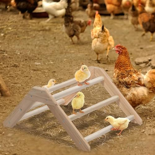 Perchoir pour couveuse et accessoires antidérapants animaux de compagnie - 3