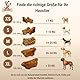 Kauwurzel für Hunde aus Baumheide Natürlicher Kausnack aus Hartholz Langlebig & splitterfrei Größe Mittlere