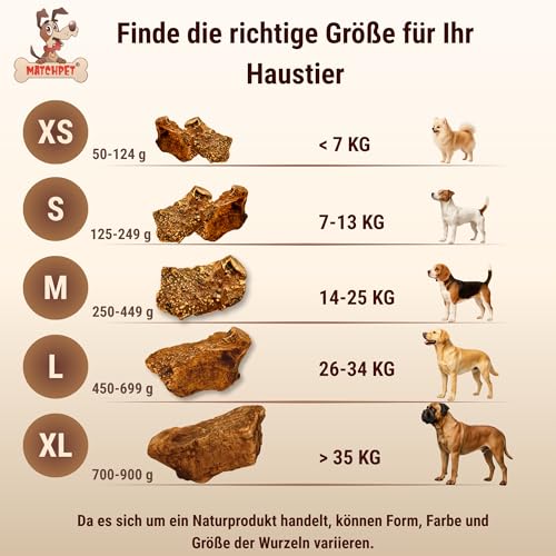 Kauwurzel für Hunde aus Baumheide Natürlicher Kausnack aus Hartholz Langlebig & splitterfrei Extra Kleine 2 Stück