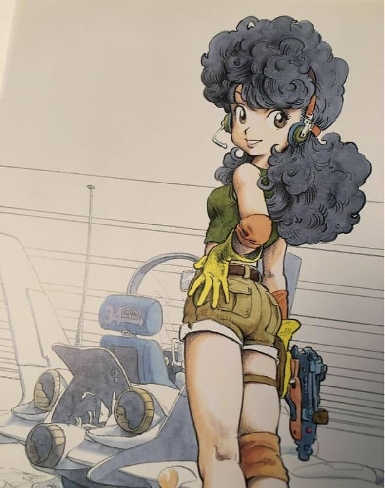 鳥山明　ドクタースランプ　アラレ　1993年 特別描き下ろし　イラスト　30cm 鳥山明 ドクタースランプ 1993年 特別描き下ろし イラスト A4