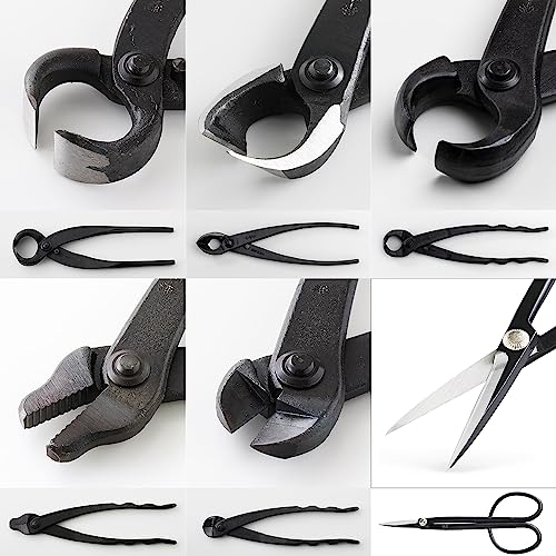 Kit profesional 6 piezas para bonsái Wazakura miniatura 6