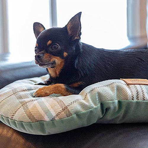 Ferplast Gepolstertes Kissen für Hunde und Katzen SCOTT 45/2, doppelseitig, schottisches Muster, weicher Samt, waschbar, Braun