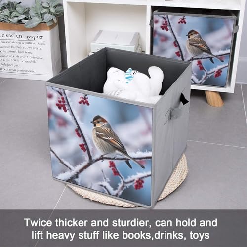 Panier de rangement pour étagères et placards avec boîtes pliables