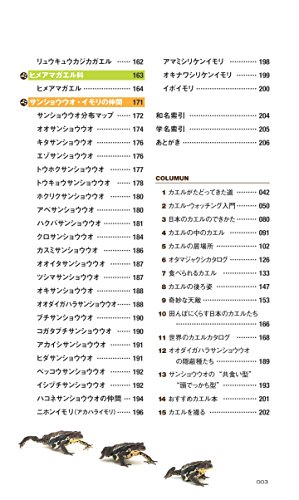 オタマジャクシからカエルの水槽レイアウト例 九州アクア日和