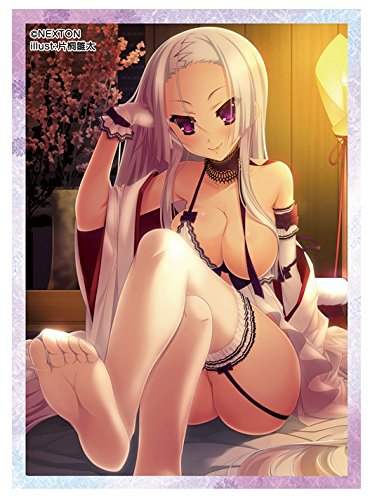 Nexton Chicas Manga Colección Vol.016 Sengoku† Koihime Una Hoja