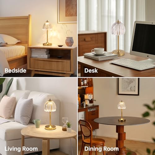 Image of Shenmoyl Set of 2 Tulip Table Lamp with 5000mAh Battery & Touch Control, Cordless Table Lamp with 3 Colors, Dimmable Rechargeable Table Lamps for Bedroom, Living Room, Entryways (Transparent Tulip)