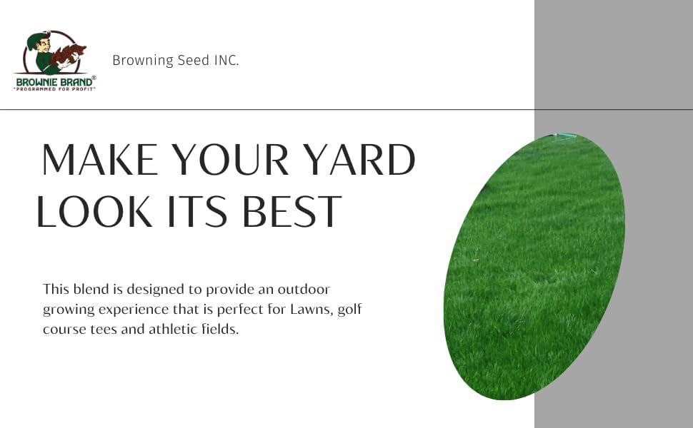 Brownie Brand Perennial Ryegrass Blend 5LBS (Seed)