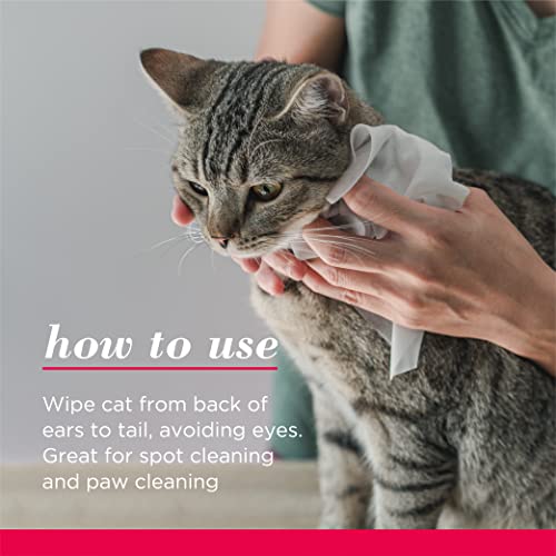 Burts Bees for Pets Antihairball Cat Wipes  Grooming Cat Wipes for Hairball Control  Cruelty Free Formulated Without Sulfates and Parabens Ph Balanced for Cats  Made in the Usa 50 Ct  Cucciolini Doodles Burts bees for pets anti hairball cat wipes  grooming cat wipes for hairball control  cruelty free formulated without sulfates and parabens ph balanced for cats  made in the usa 50 ct   cucciolini doodles