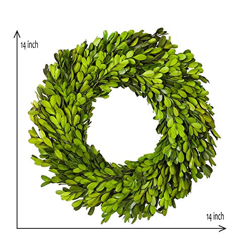 Boxwood Wreath 14 Inch Preserved Nature Boxwood Wreath Home Decor Stay Fresh For Years Easter Wreath (Boxwood) #TOP2