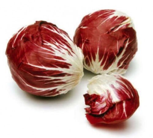 Vegetable Seeds - Radicchio Chicory Rosso 50 Seeds Pack- by Seedscare India (B01GJVEX38) Amazon Price History, Amazon Price Tracker