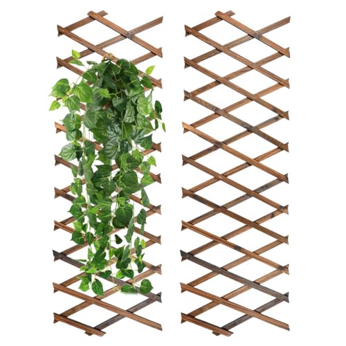 yeesport Expandable Plant Trellis 2 Pcs, Holz Trennwand Pflanzer Gartenzaun 190×30cm- Hölzerne Pflanze Unterstützung Zaun, Langlebig und robust für Kletterpflanzen, Zauberstab Dekoration