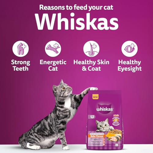 Image of Whiskas Adult (1+ Years) Dry Cat Food, Rohu Fish Flavour, 1.2 kg, Powered with 40 Essential Nutrients, Complete & Balanced Nutrition for Adult Cats (Pack of 4)