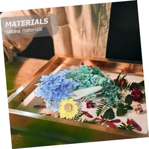 Flores prensadas naturales para manualidades 1 pack miniatura 5