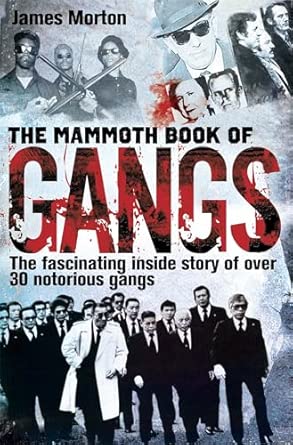 The Mammoth Book of Gangs book cover