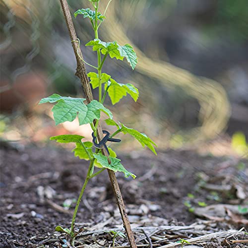 UPKOCH 90pcs Greenhouse Plant Clip Cable Ties Vegetable Plant Vine Support Clamps Flower Growing Climbing Ties Garden Vine Fixed Clamps