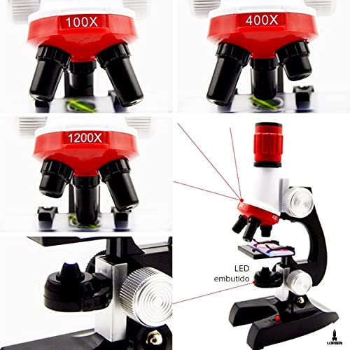 Microscópio Infantil Óptico Lorben Crianças 100x 400x 1200x