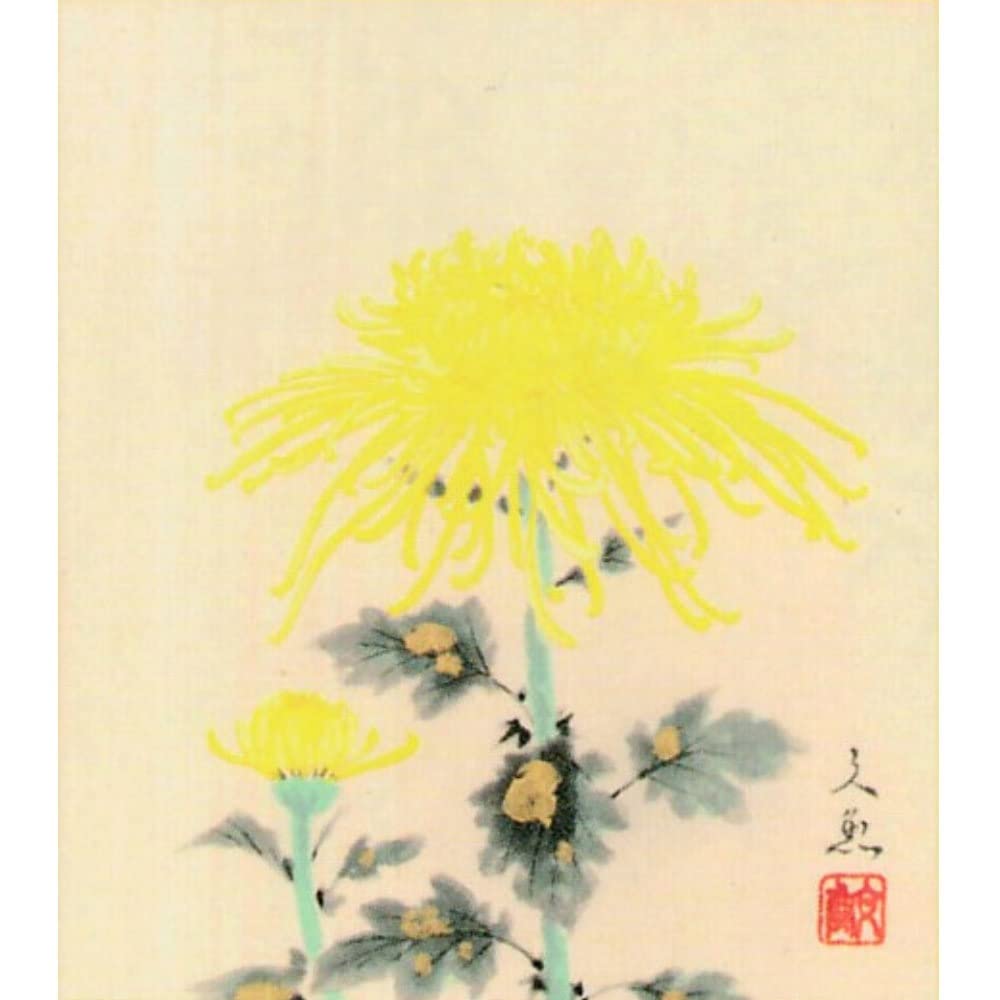 Amazon.co.jp: 中谷文魚 菊 色紙 ナチュラル 日本画 静物画 きく 花鳥
