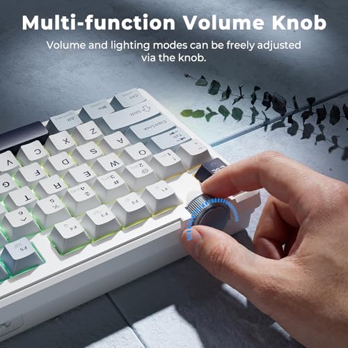 Image of Redragon K716 Wireless Mechanical Keyboard with Knob, Gasket Gaming Keyboard in TKL Layout, Hot swap Pre-Lubed Switches, RGB Backlight, for PC /Mac (White)