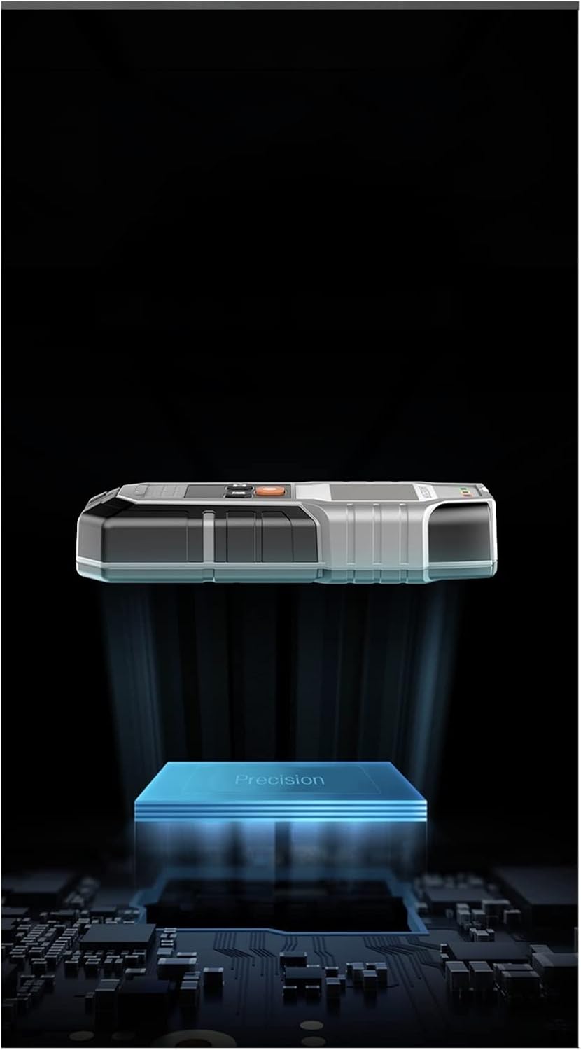 カルロス・シュヴァーベ、「La Femme aux Roses」 カルロス