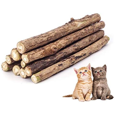 ZoiiBuy Cat Catnip Stick,Matatabi Silvervine Dental Treats Natural Wood Chew Toy Cat Teeth Cleaning Grinding Molar Sticks for Cat Kitten Kitty Play and Relax -10PCS Cover