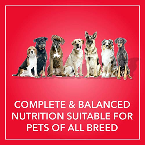 Purepet-Chicken-Vegetable-Adult-Dry-Dog-Food-20kg