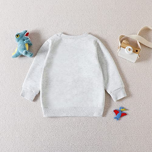 sfdgfhyf Toddler Newborn Infant Cartoon Prints Outfits Boys Sweatshirt Pullover Hoodie Tops Cute Clothes 4t3