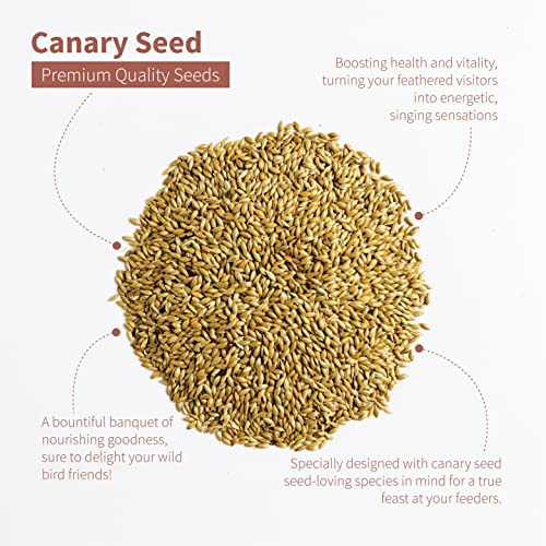 Schoen Farms Premium Canary Seed For Birds  thumb #2
