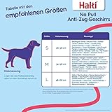 HALTI No Pull Anti-Zug Geschirr, Größe Klein - Verhindert, dass Ihr Hund an der Leine zieht, Gepolsterter Brust- und Beingurt, Reflektierendes Gurtmaterial, Einfache Anpassung und Benutzung