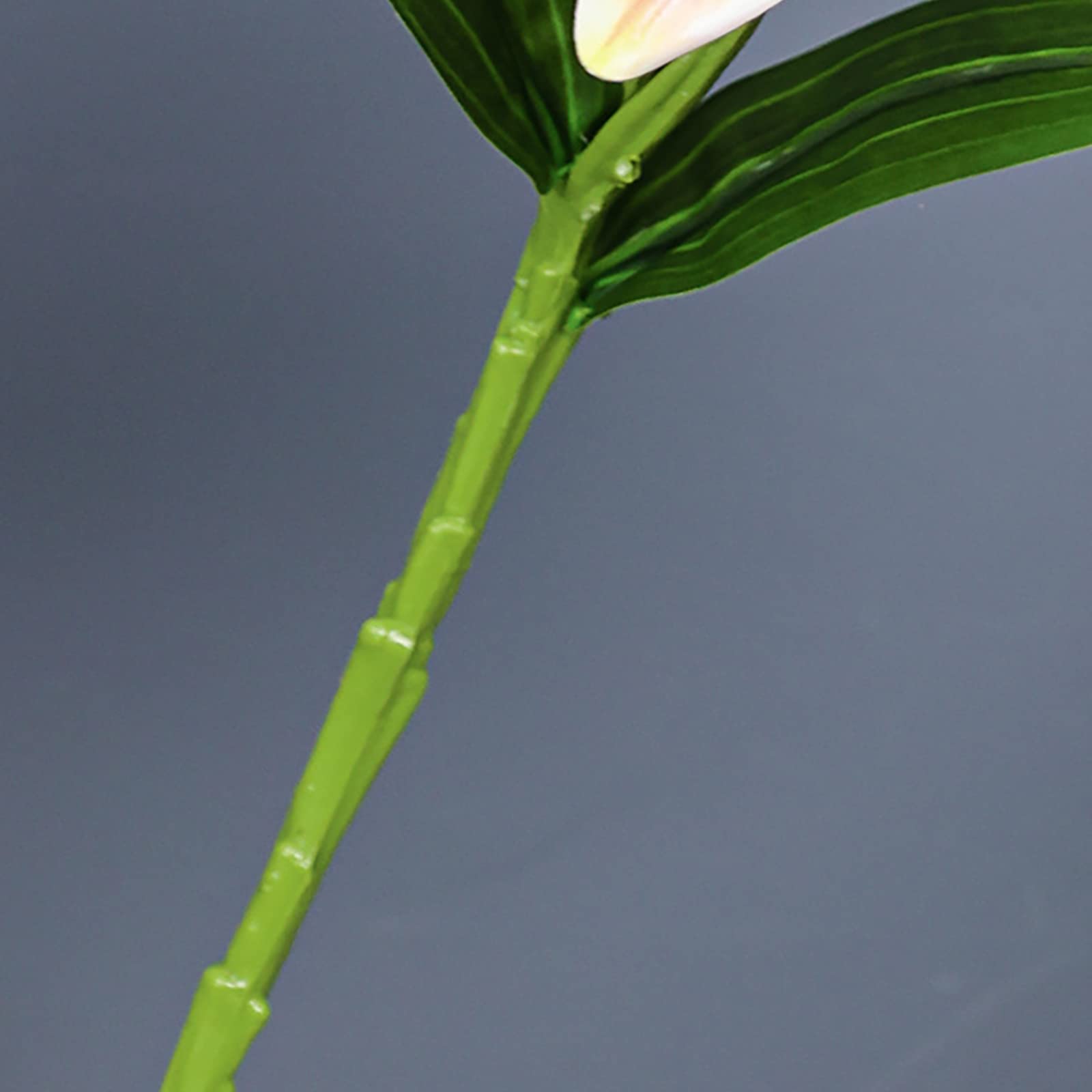 Kunstmatige Hortensia SucceBuy Kunstbloemen Decoratie, Set van 65 Wit