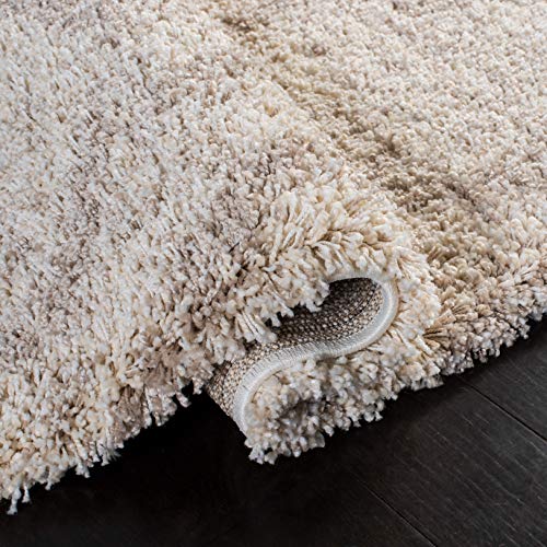 Tapete Safavieh Hudson Shag 3'x5' Beige y Marfil miniatura 5