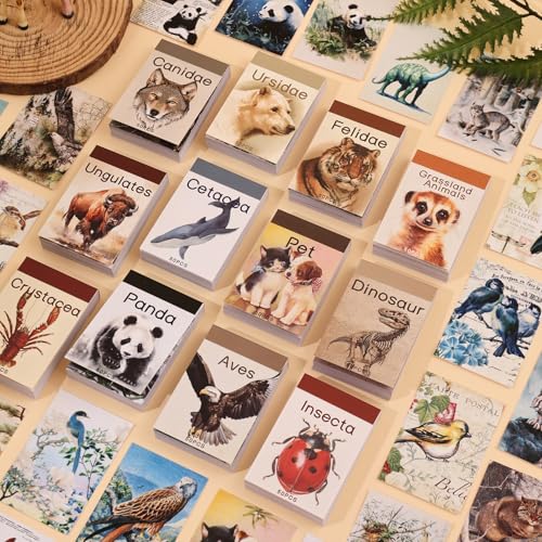 Image of 12 Sets 600 Sheets Washi Stickers Book for Journaling, Jungle Animal Sticker, Wild Zoo Sea Animal Aesthetic Scrapbook Dinosaur Sticker Set for Bullet Journal Card Craft Gift Rewards for Kid Notebook