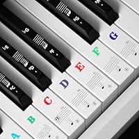 Klavier Keyboard Noten Aufkleber für 88/61/54/49 Tastenentfernbar Klavier Aufkleber Farbige Klavieraufkleber Klavier Tastatur Zubehör für Keyboards Piano Lernen Anfänger