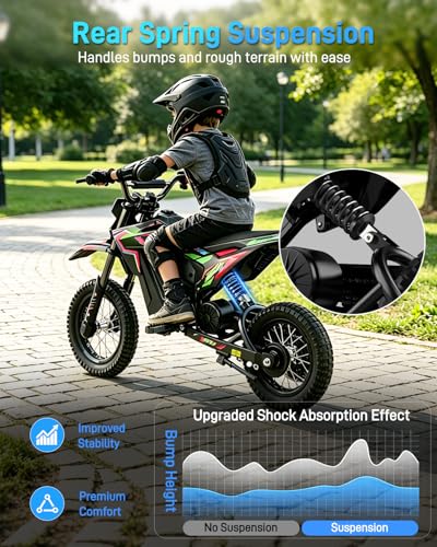 QWAYQ 36V Electric Dirt Bike