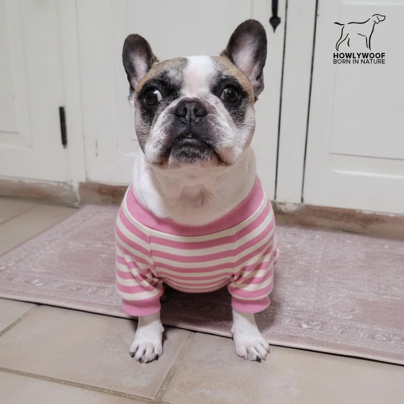Suéter rayado para perros bulldog XL miniatura 6