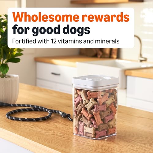 Image of Amazon Basics Crunchy Dog Biscuits Multi Flavor Dog Treats 5 lb. Box