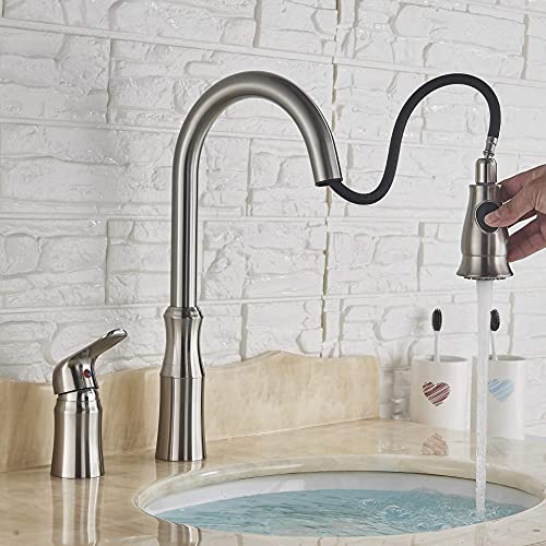 Oulantron 2 Hole Kitchen Faucet With Pull Out Sprayer Stainless Steel Brushed Nickel Kitchen Faucet High Arc Pull Out Kitchen Sink Faucet With Side Single Handle #TOP7