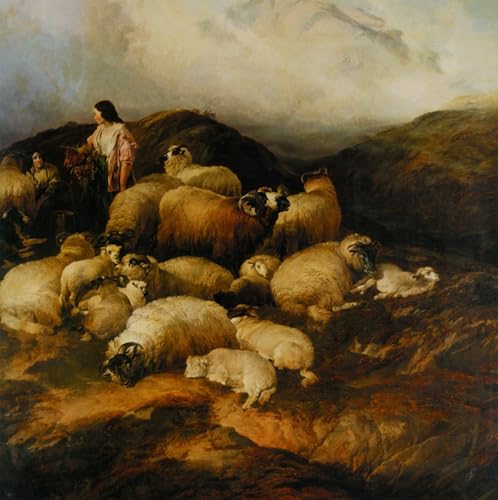 Tableaux Posters Impression Toile Paysans et moutons Sidney 60x90cm