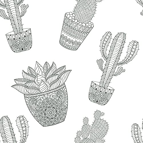 Fotomurale cactus para tapar imperfecciones de pared con vinilo impermeable 3