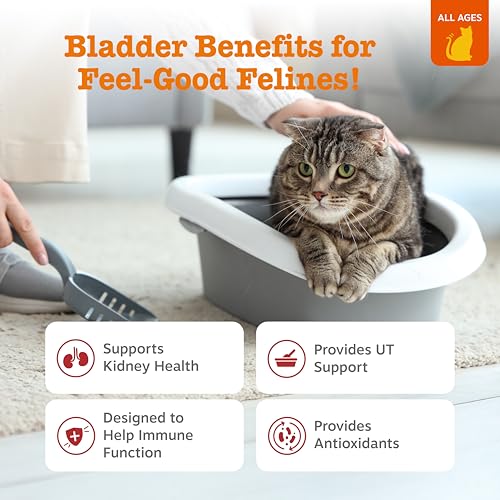 Image of Zesty Paws Cranberry Urinary Tract Bites for Cats - Kidney & Urinary Tract Health - Soft Chews with D-Mannose, Vitamin B6 & L-Arginine - Immune & Gut Support - Bacon - 60 Count
