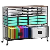 Solinxe 18 Slots Lateral File Cabinet with 2 Drawers, Mobile Filling Cabinet with Open Storage Shelves, Hanging File Folder For Letter Size, Metal Bookshelf Organizer Cart for Office Home, Black