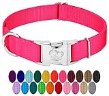 Country Brook Petz - Premium Nylon Dog Collar with Metal Buckle - Vibrant 24 Color Selection (Large, 1 Inch Wide, Hot Pink)