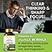 Organic Veda MomaX Moringa Capsule Triple Complex - Ultra Concentrated Moringa Leaf Powder, Seed & Fruit Extract - The Miracle Tree Supplement for Digestion, Skin, Sleep, Energy & Focus - 60 Pills