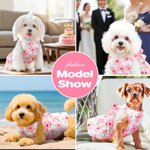 Hundekleid für weibliche Kleine Hunde,Hund Kleider Geschirr und Leine,Dog Kleid für kleine Hunde,Sommerkleid für small Haustiere,Mädchen-Hundekleid für Kleine,Mittelgroße Haustiere (L)