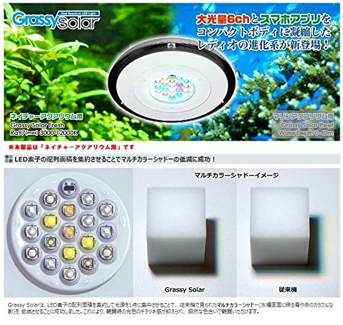 Amazon | ボルクスジャパン グラッシー ソーラー フレッシュ