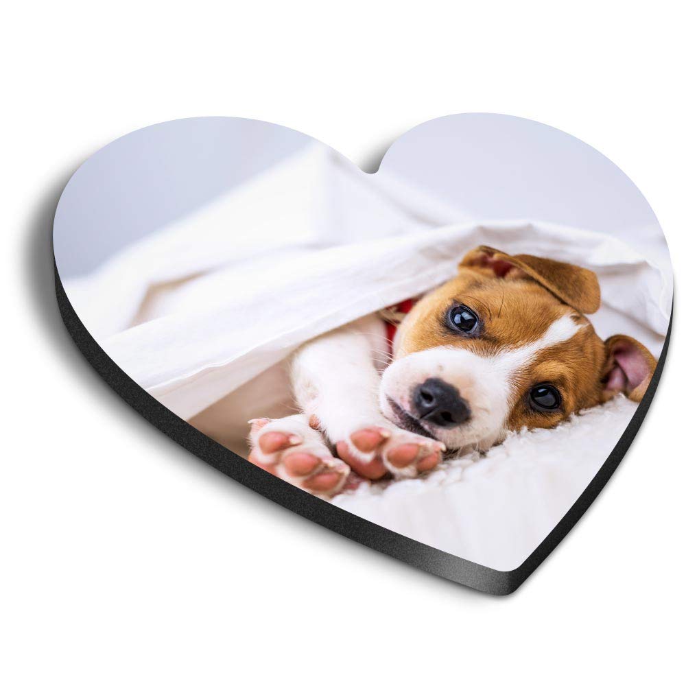 Destination Vinyl Ltd Multicolor 1 X Heart Mdf Magnets - Jack Russell Terrier Dog Puppy Animals 8286
