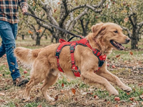 Image of Tracker - No Pull Dog Harness | Front And Back Leash Attachment Points | 3M Reflective Stitching Increases Safety At Night | 5 Point Adjustable Fit Harness For Dogs | Padded Dog Harness For Comfort
