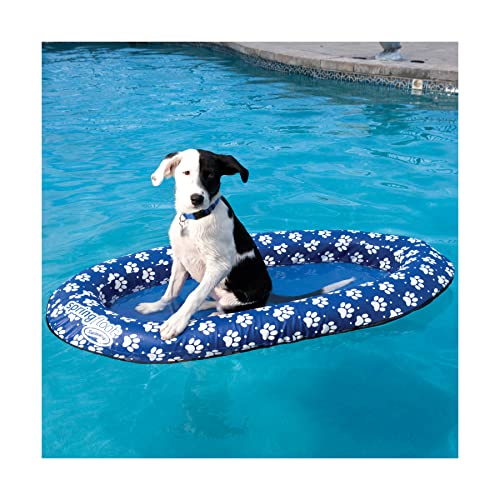 4 Best Dog Water Toys [2022 Reviews]