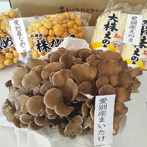 きのこセット 北海道 愛別 きのこ セット まいたけ えのき茸 なめこ 北海道 あいべつ特産 きのこ セット 舞茸 / エノキ茸 / ナメコ / キノコ 野菜 きのこ セット 詰め合わせ