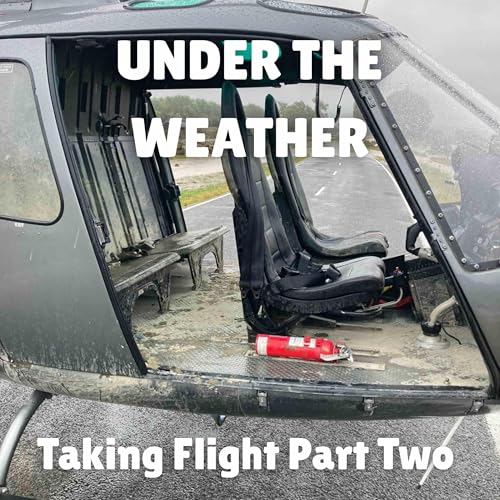 Taking Flight - Part Two cover art